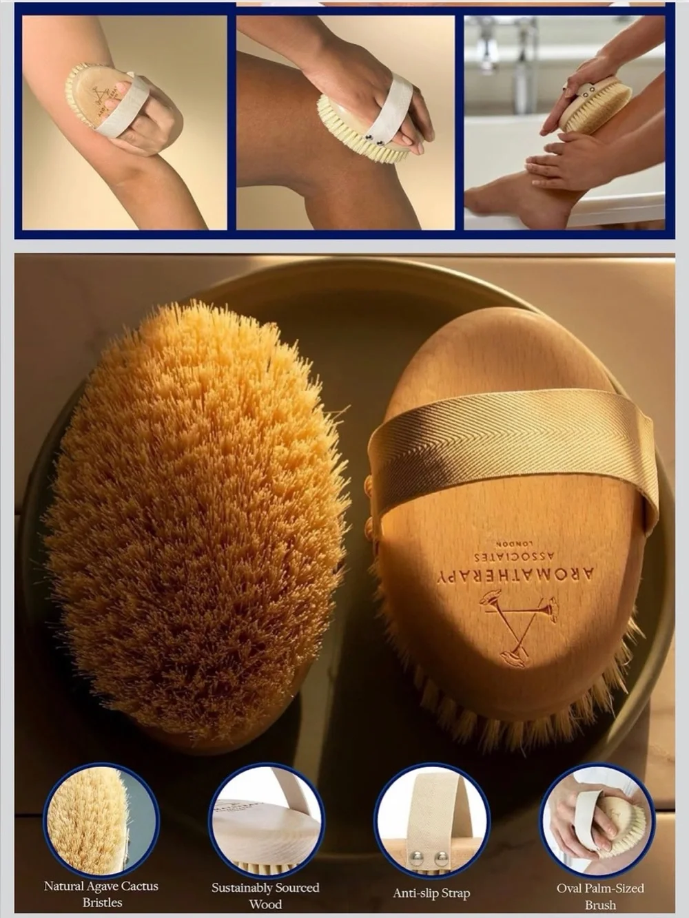 NWT Wooden Dry Brush - Cactus Bristles
